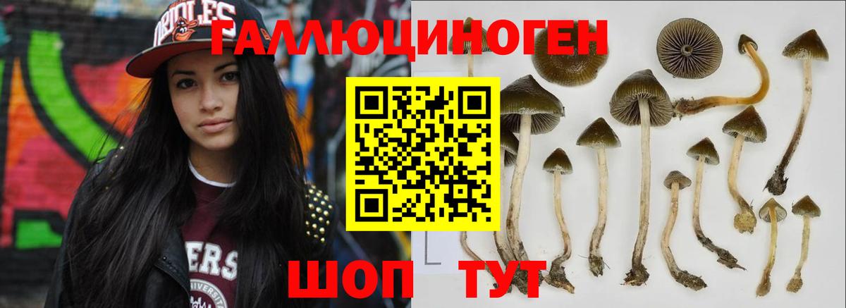 Псилоцибиновые грибы Cubensis  Псилоцибиновые грибы MAGIC MUSHROOMS  Саратов  Вход с VPN 